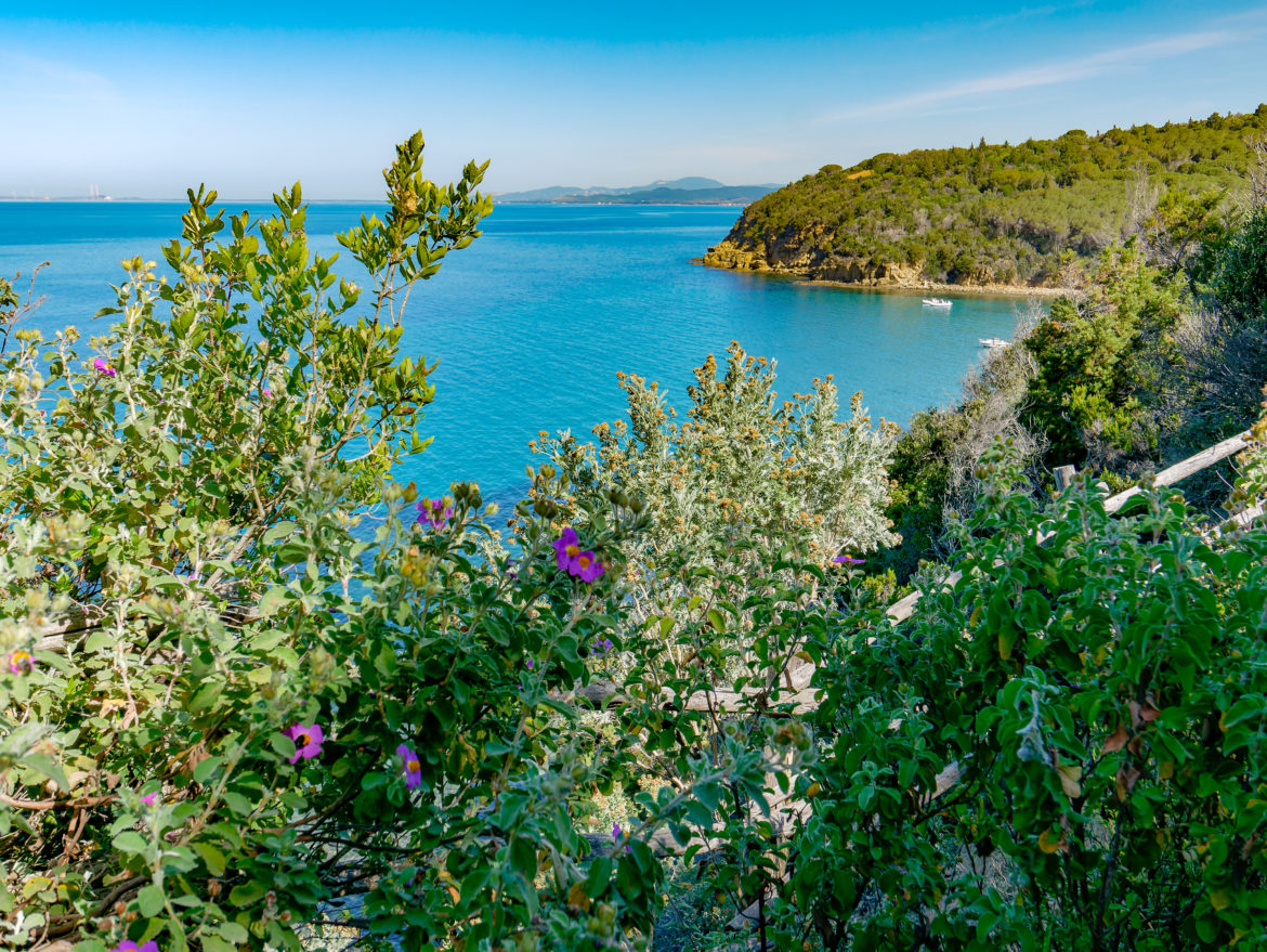 Seaside,Panorama,On,The,Gulf,Of,Follonica,From,The,Path